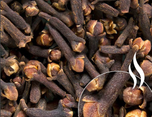 Premium Indonesian Whole & Ground Cloves – HPS Selected | Cleaned | High Volatile Oil - GLOBAL SPICE GROUP - Romania